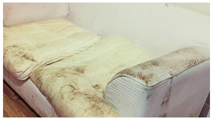 canapea material textil inainte de curatare