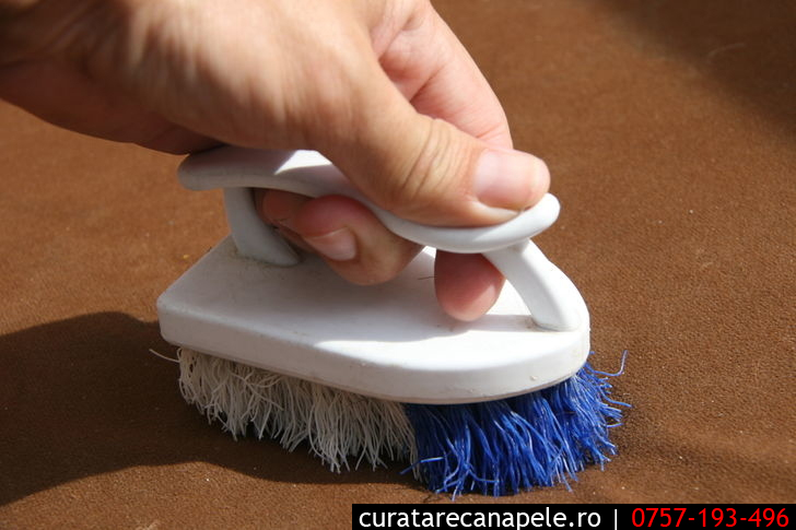 adjust comb Thigh Cum poti curata singur o canapea din material textil. curatare canapele