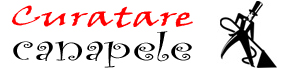 logo curatare canapele